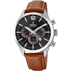 Festina Man's watch (F20542/6)